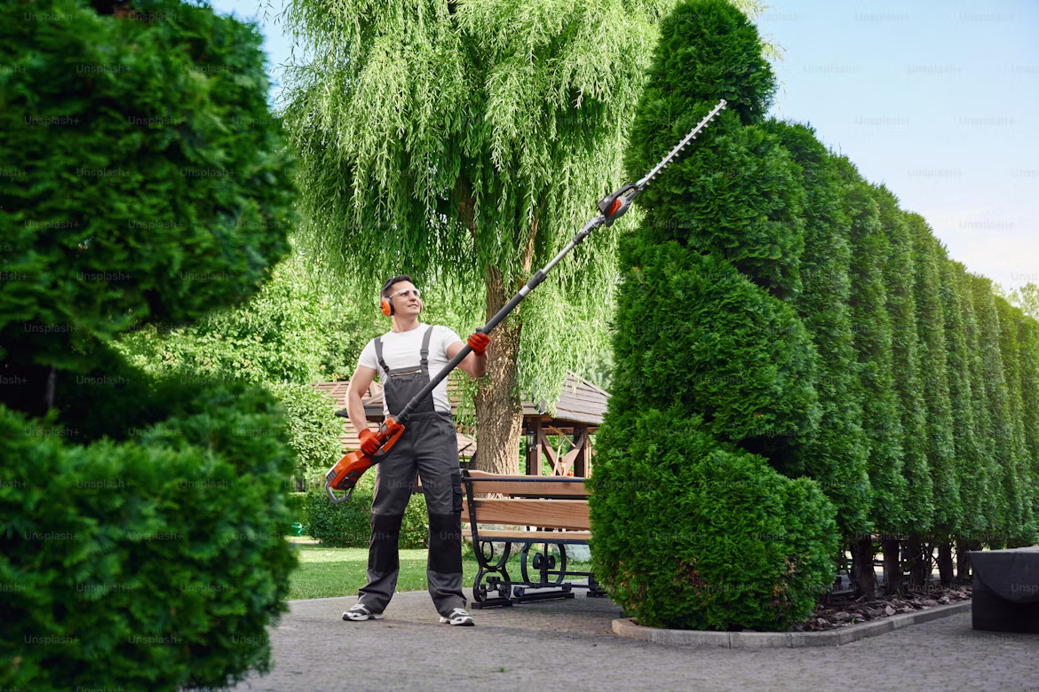 Hedge & Garden